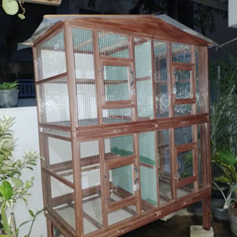 Kandang ternak burung lakbet kenari DLL