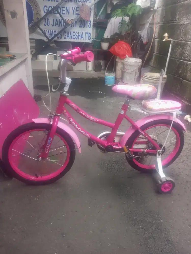 Sepeda anak ukuran 16
