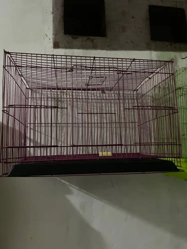Kandang kucing ungu