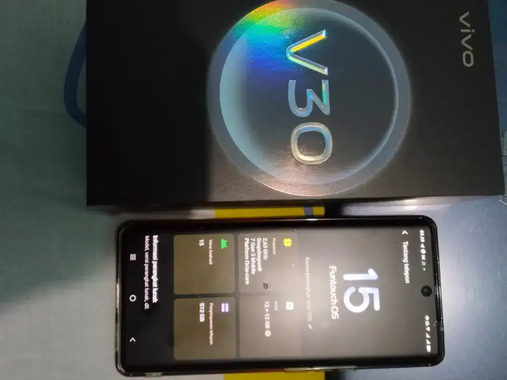 Vivo v30 12/512