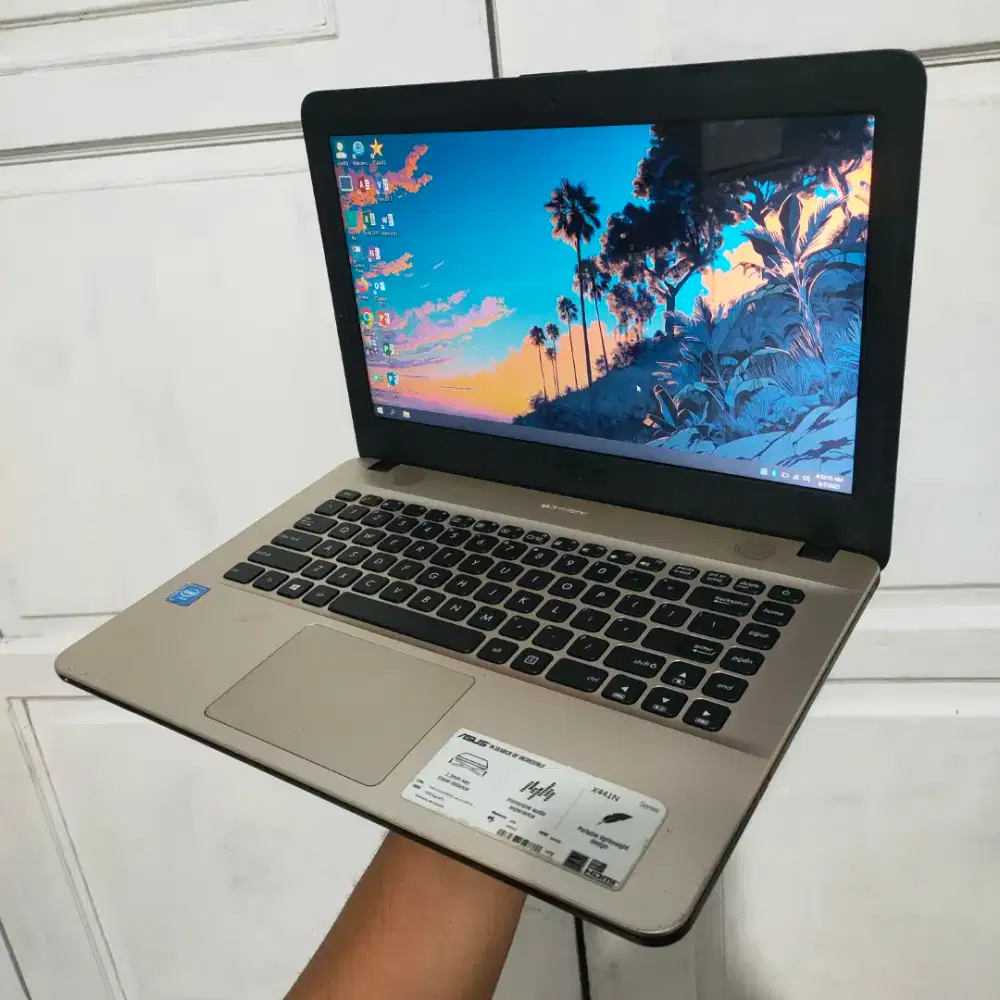 Asus Vivobook X441N Celeron N3350 Ram 4GB