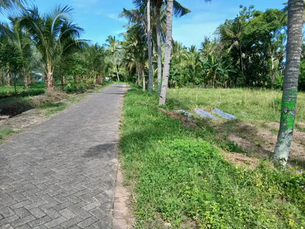Tanah murah pinggir jalan desa
