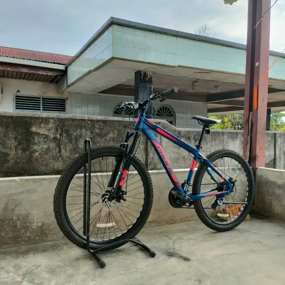 Dijual Sepeda Gunung Pacific Kondisi Like New