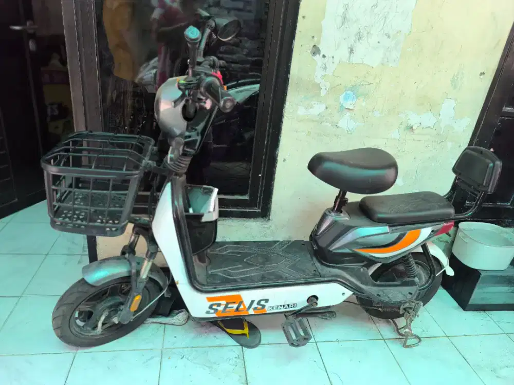 Sellis kenari th 2023