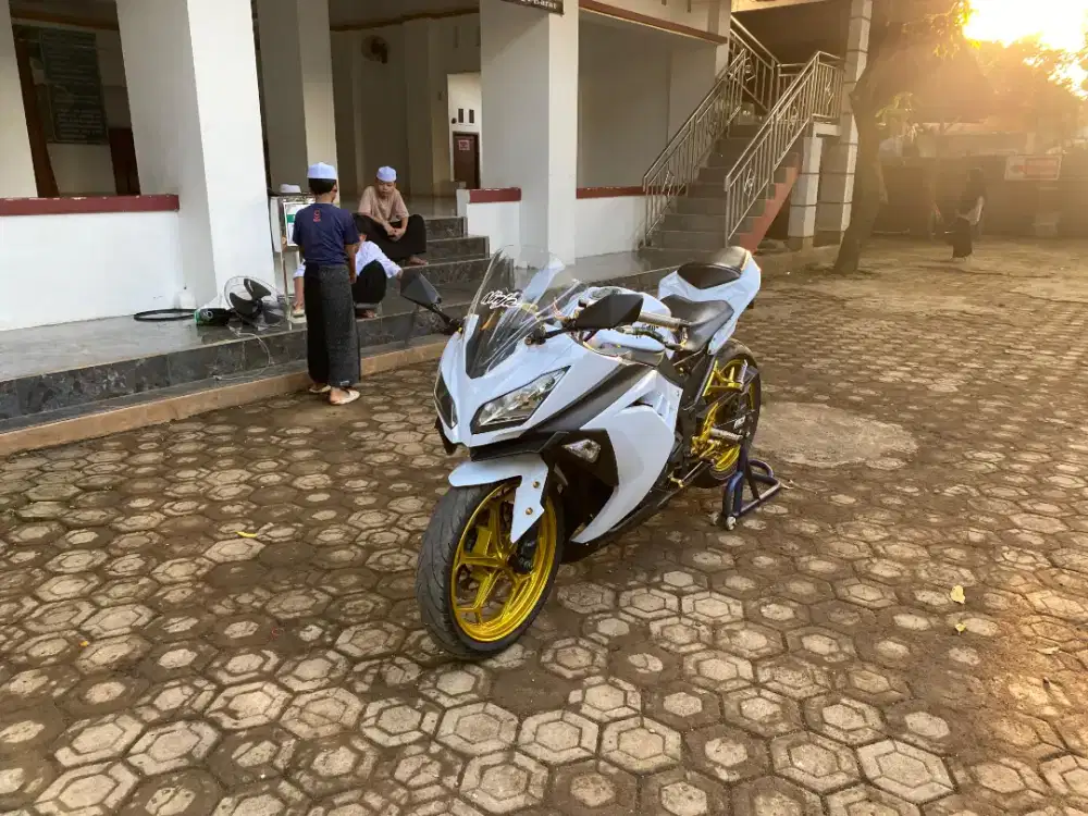 Kawasaki Ninja 250 FI