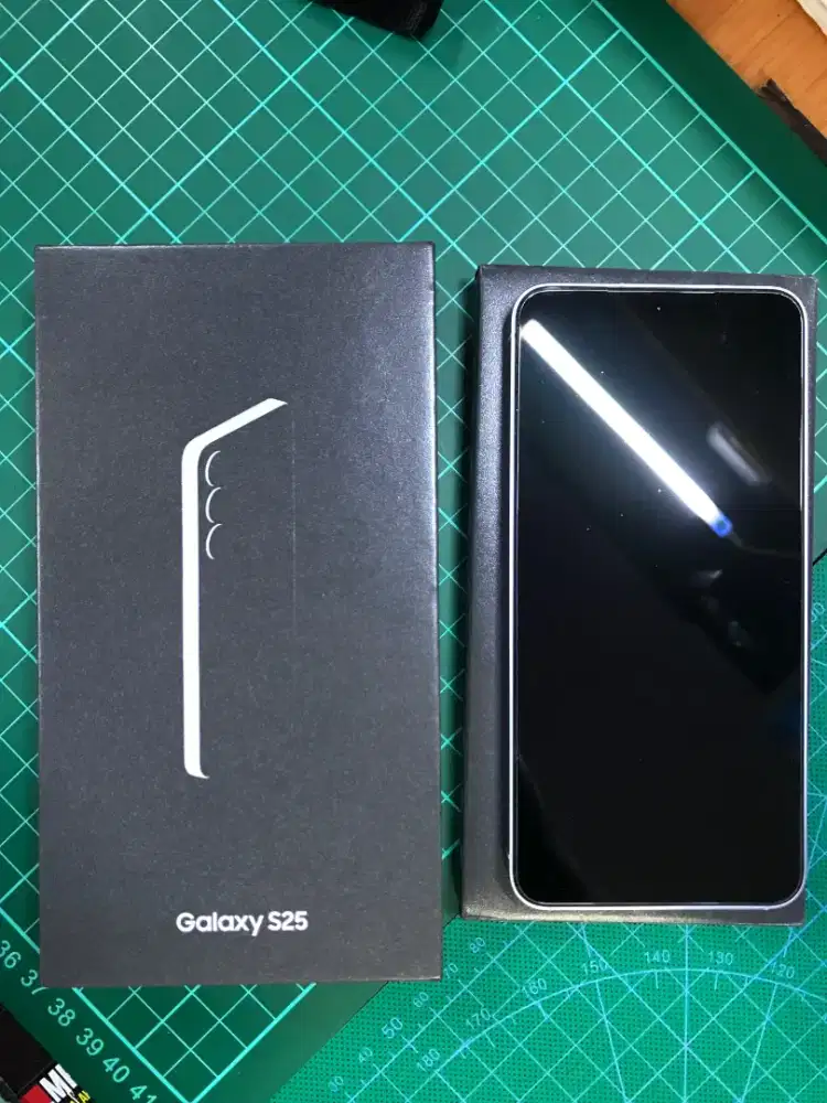 Samsung S25, 12/256