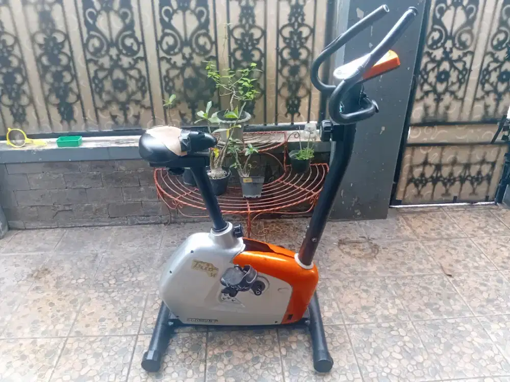 Sepeda statis proteus