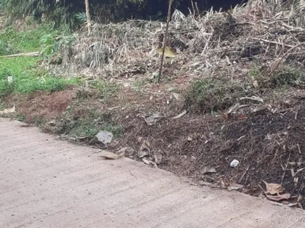TANAH  BISA  BUAT  RM TINGGAL  DI  GN SINDUR