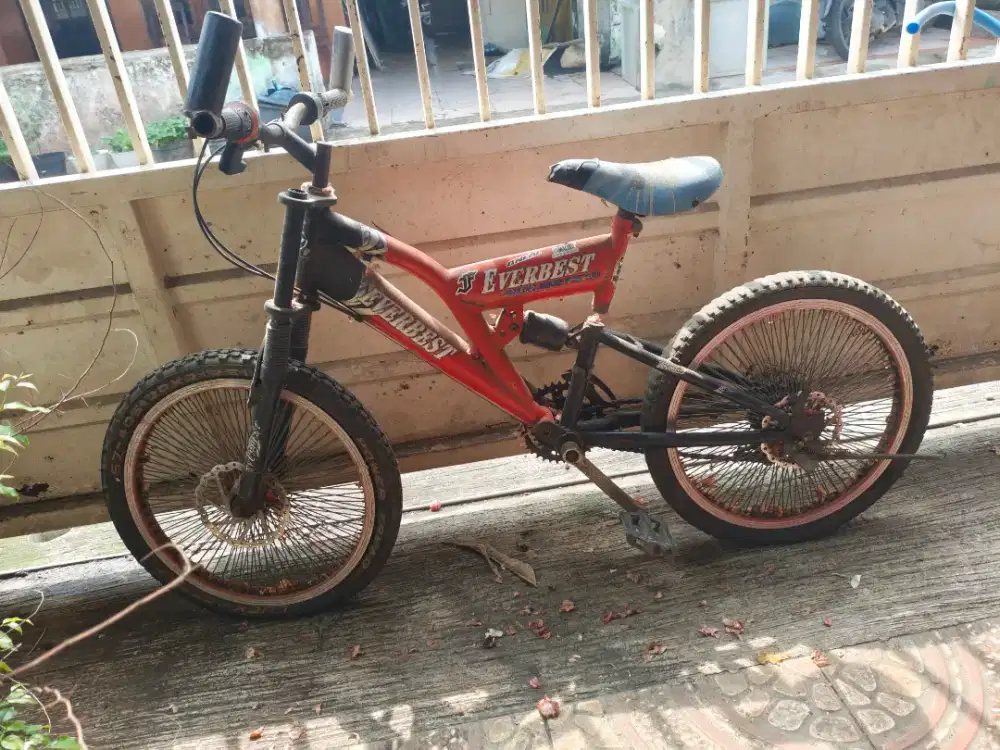 Sepedah anak everbest