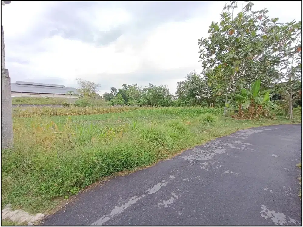 Strategis! Tanah Kavling Jogja Di Jl Palagan KM 10
