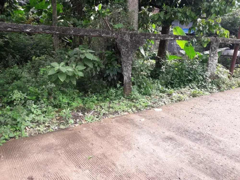 JUAL  TANAH  BAGUS  BUAT  RM TINGGAL  MINIMALIS GN SINDUR