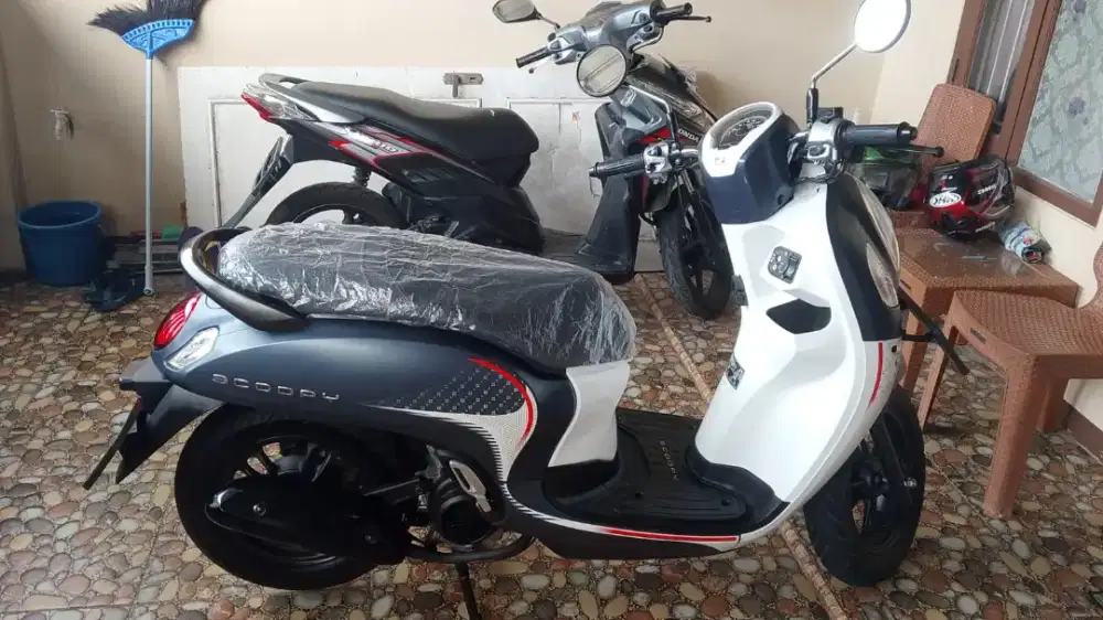Scopy 2024 pajak hidup 100% mulus