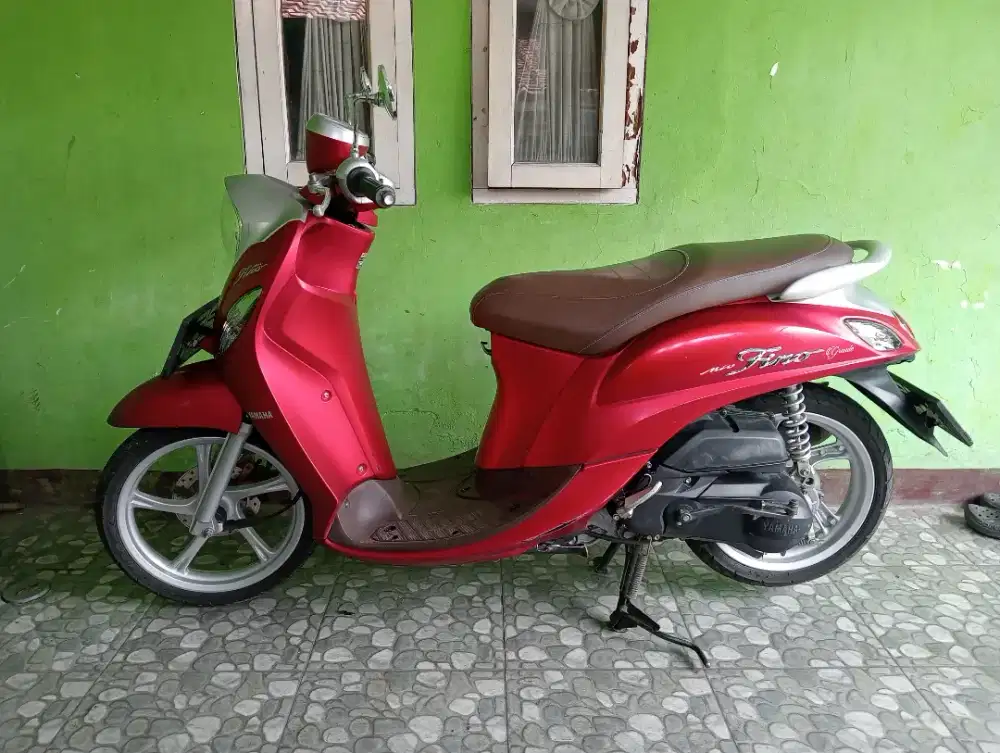MULUS FINO GRANDE 2023 KODYA