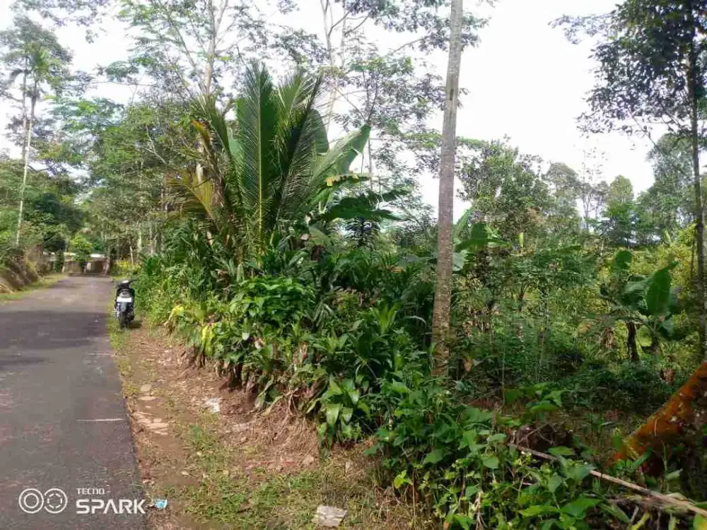 tanah darat kebun