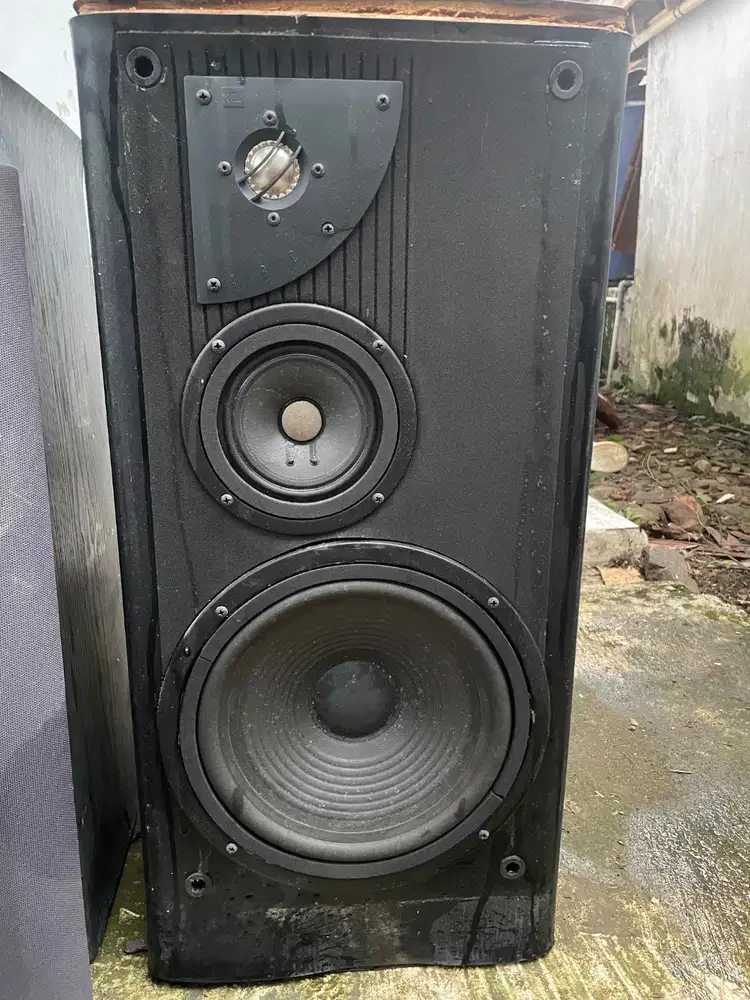 Subwoofer & Audio Speaker