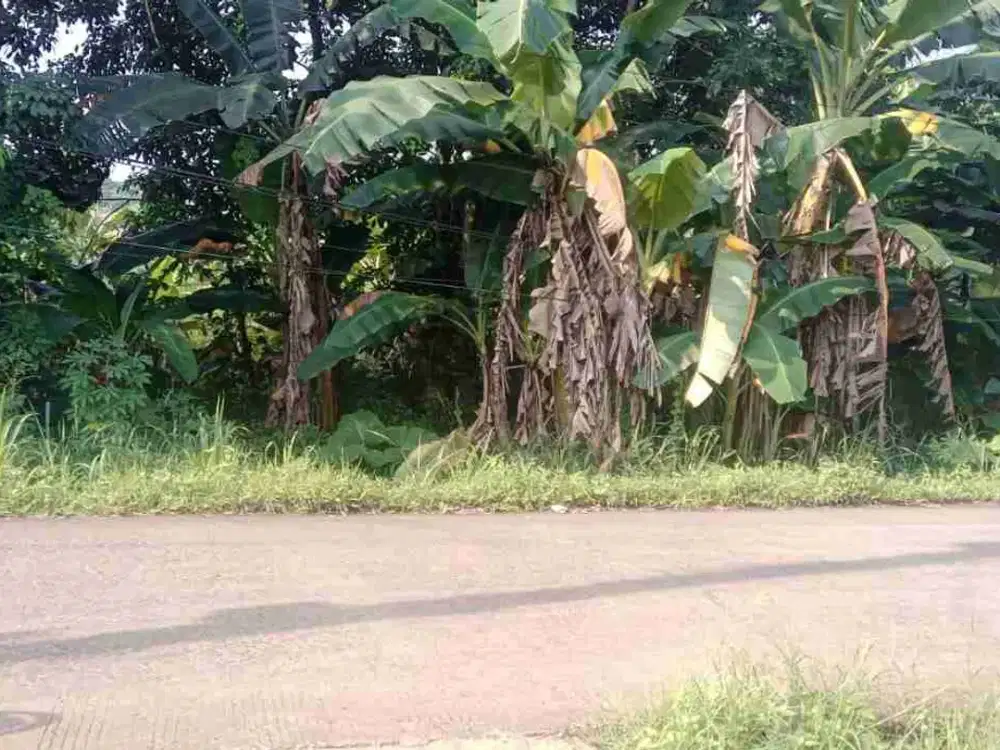 JUAL TANAH BUAT GUDANG DI GUNUNG SINDUR