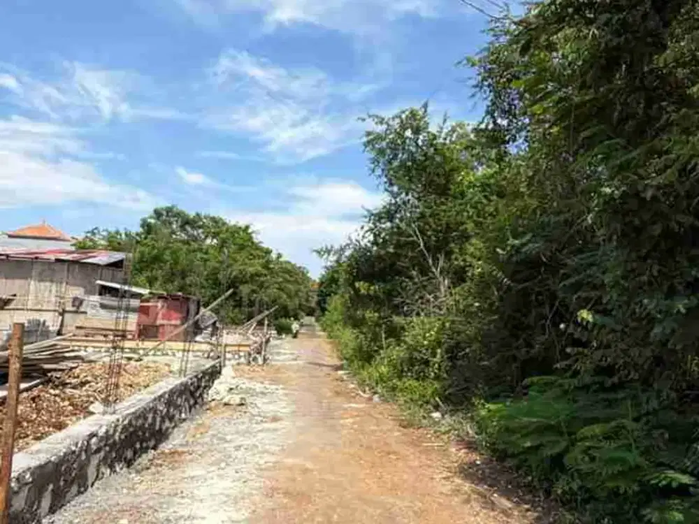 Dijual Tanah Murah Luas 1548m2 Di Nusa Dua Bali