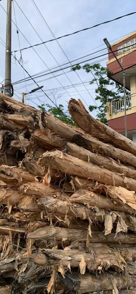 Kayu galam diameter 3-4 cm