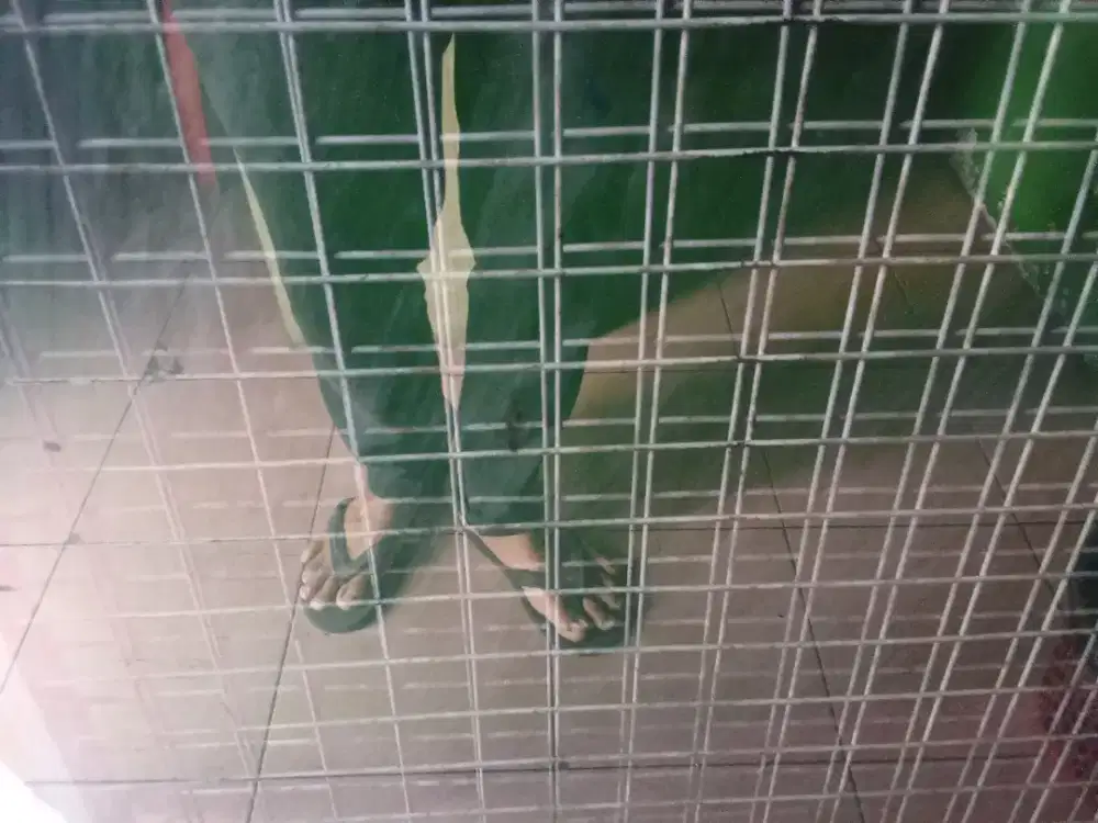 Murah dan  kuat  Besi kotak kotak cocok untuk taruh barang di rumah