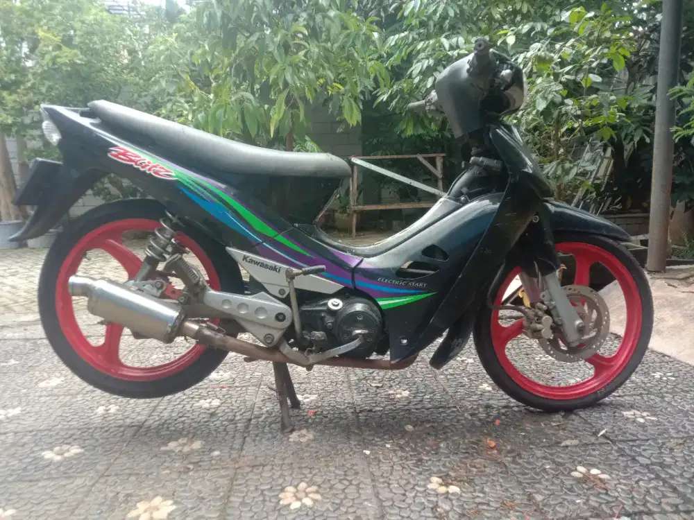 Kawasaki Blitz Racing