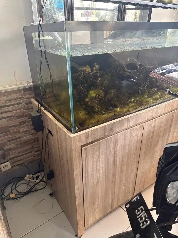 Aquarium tinggi 2 meter