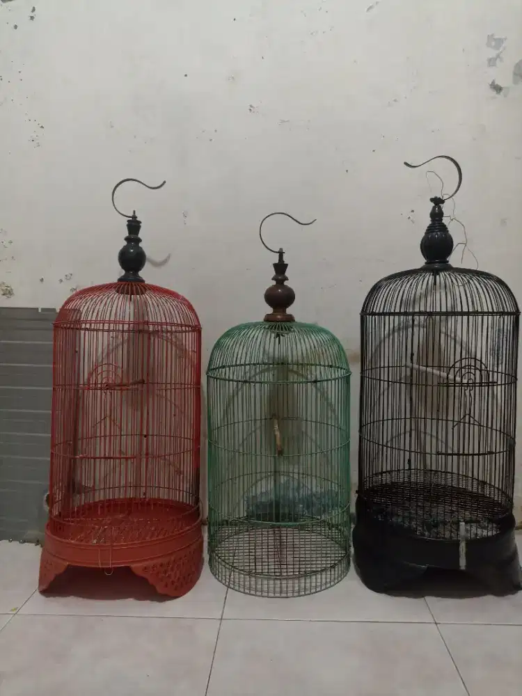 Kandang besi lovebird kapsul