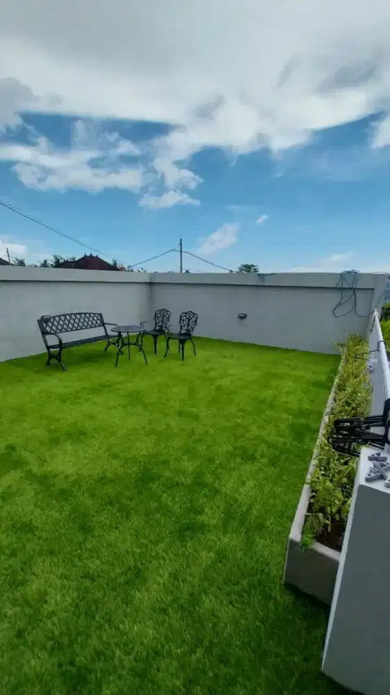 rumput Sintetis murah di surabaya bisa cod
