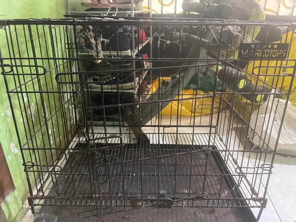 Kandang kucing dan 2 kandang