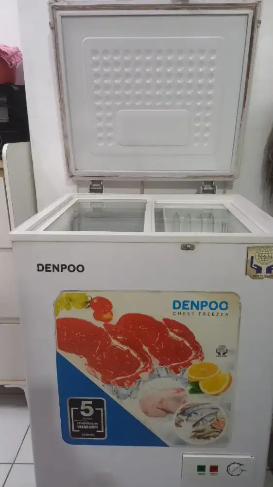 Freezer Box DENPOO 100L