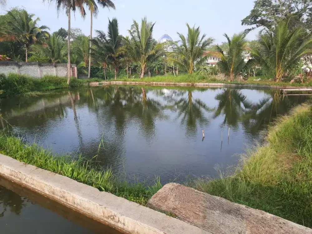 Dijual Tanah berupa Kolam / Balong