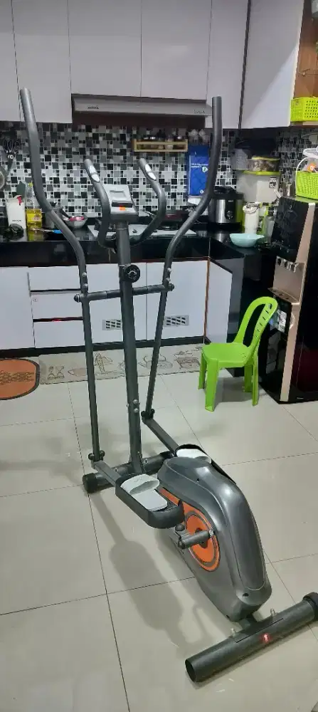 Berwyn Elliptical Bike 507e Original Berwyn