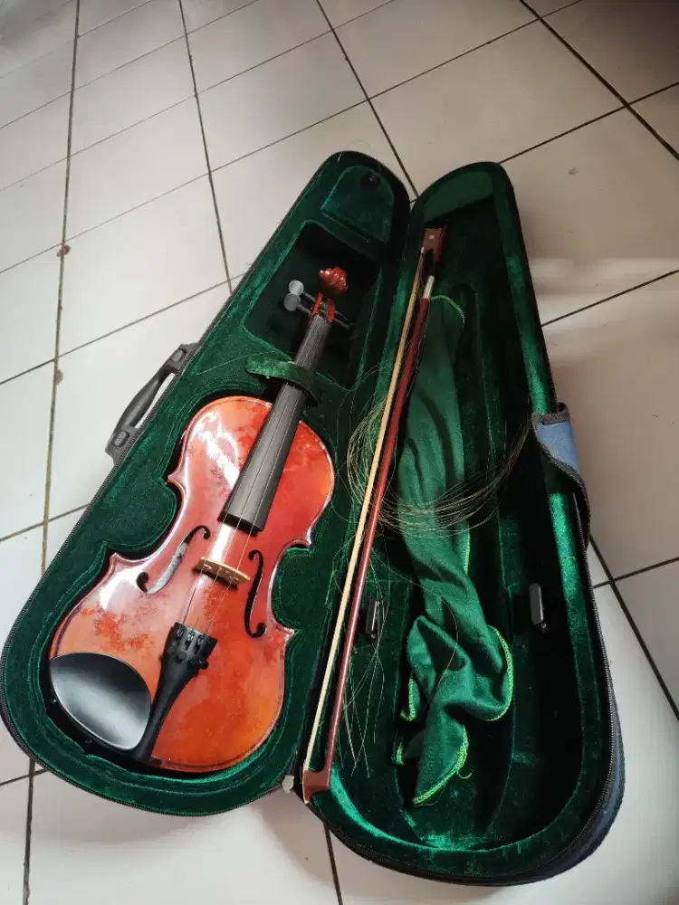 jual biola masi bagus