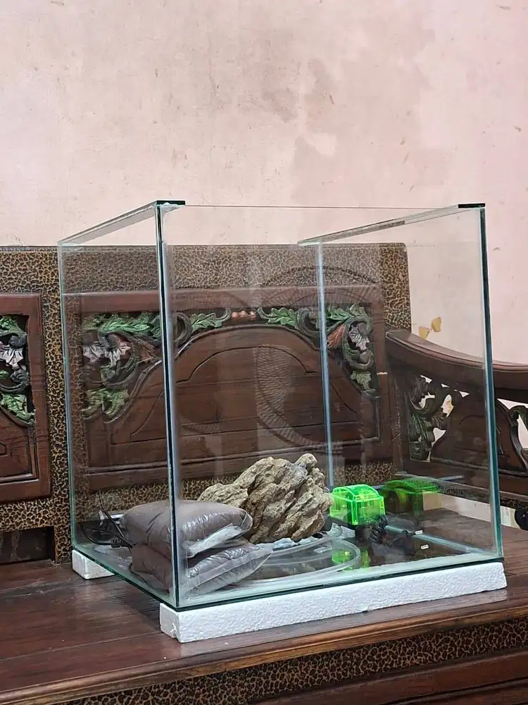 Akuarium baru 40x40 fulset