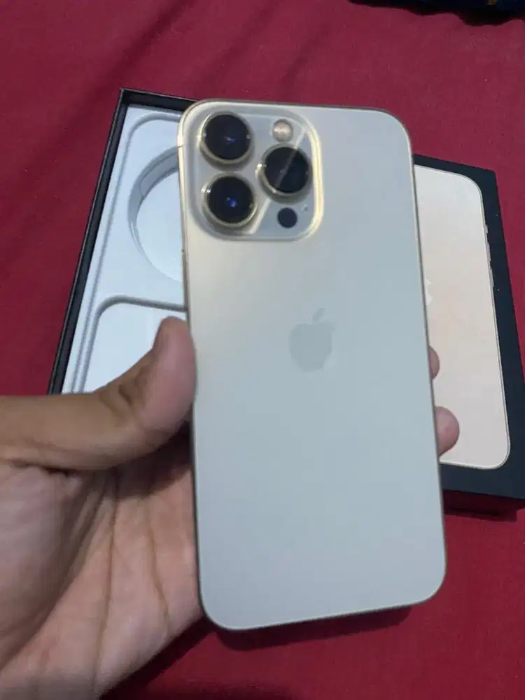iPhone 13 Pro 128gb ex inter