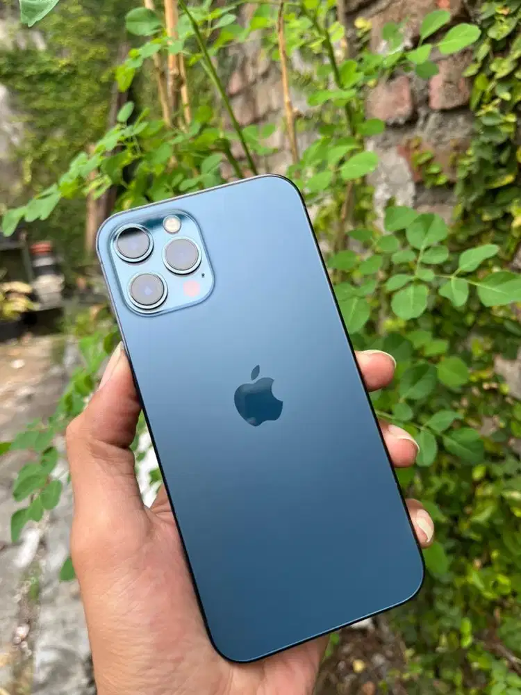 Iphone 12 promax 128gb whitelist