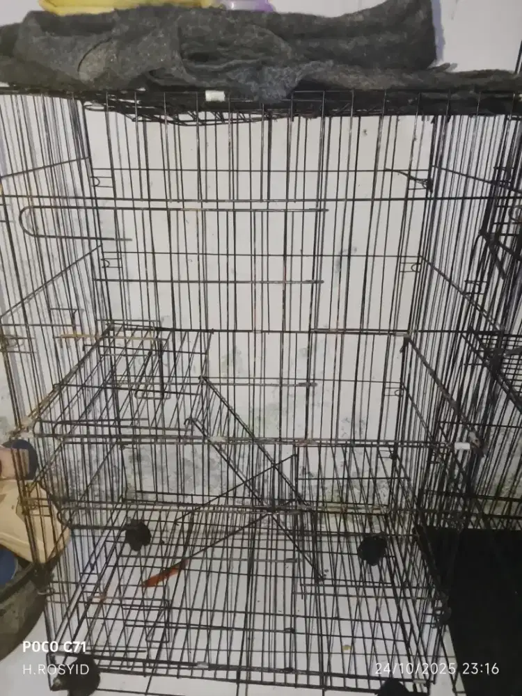 Di jual kandang kucing 2 tingkat