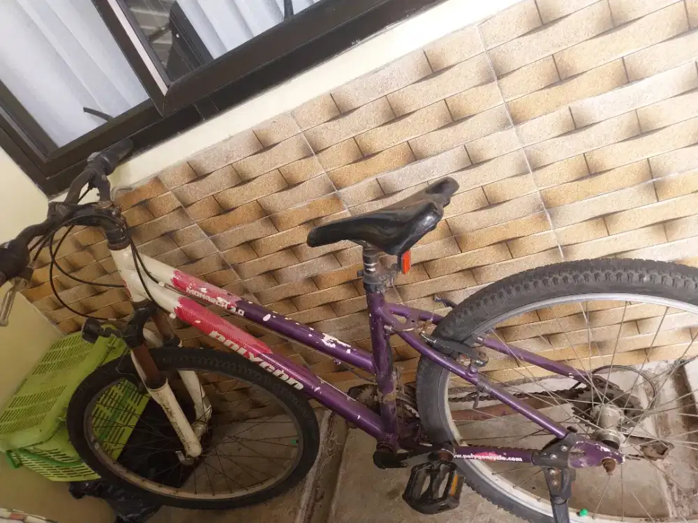 Sepeda MTB polygon Monarch