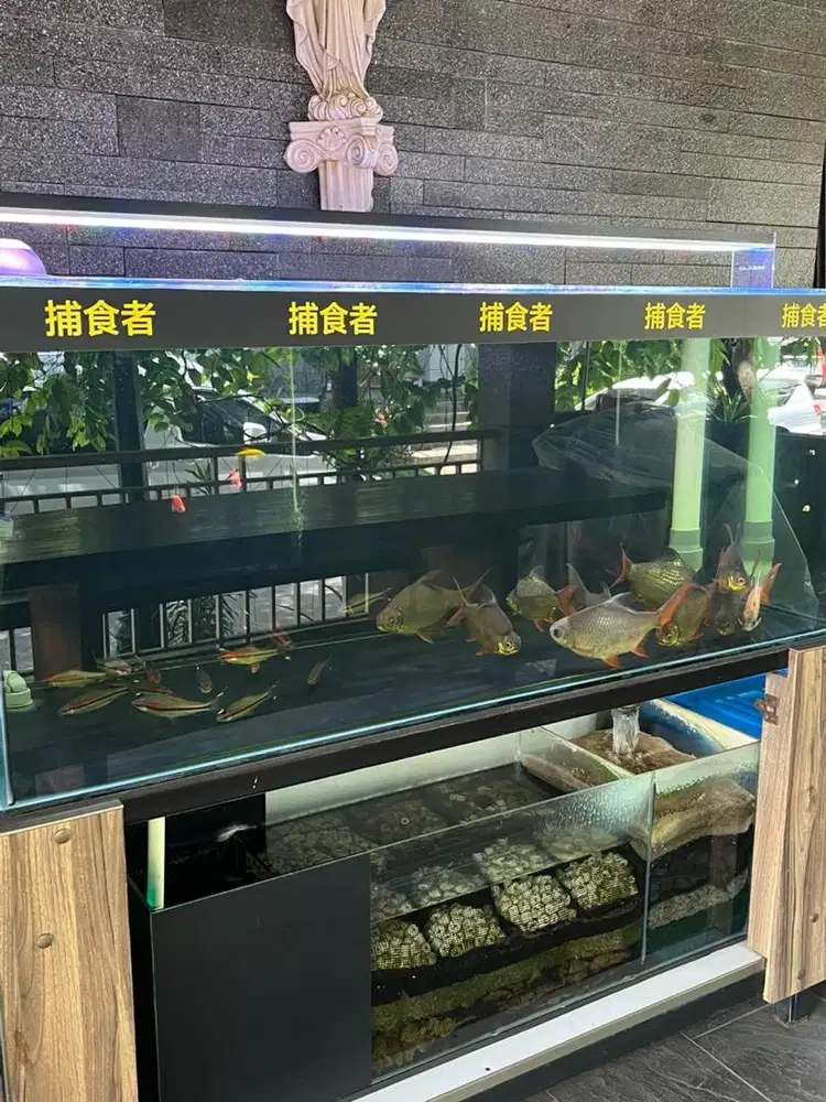 AKUARIUM IKAN KEREN