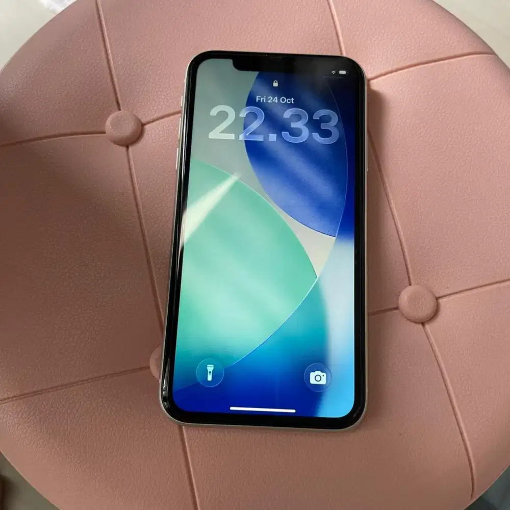 iPhone 11 256 GB