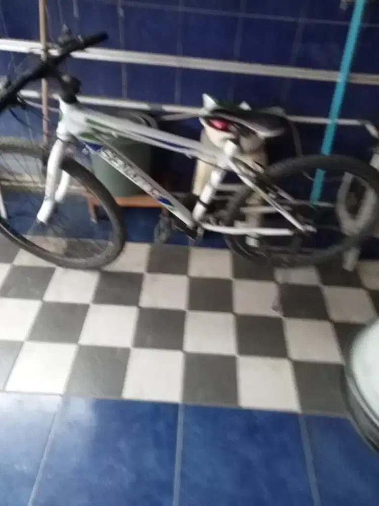 Di jual cepat sepeda  spot Bagus