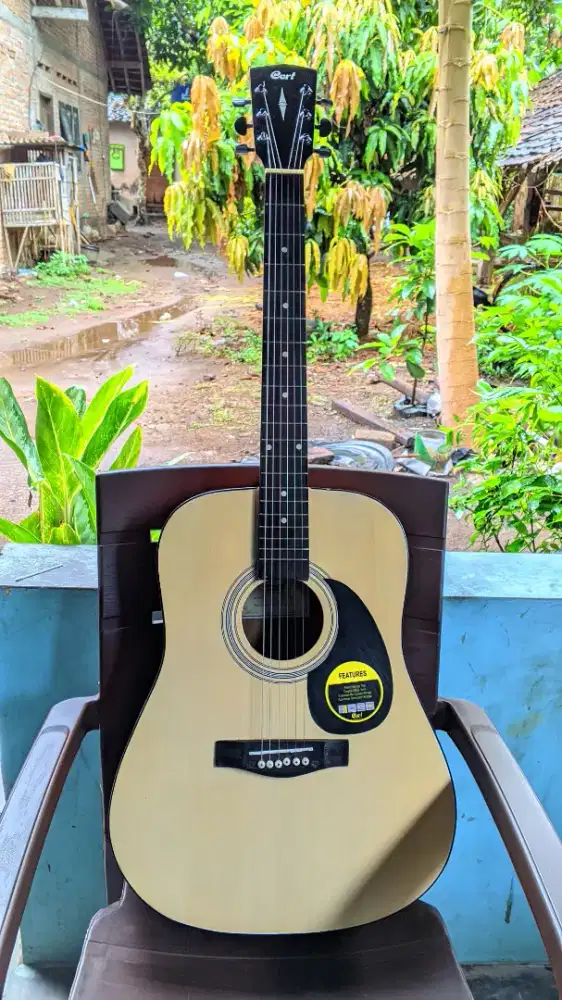 Jual Gitar Akustik Cort