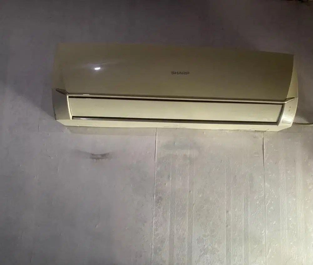 Ac sharp 1/2 Pk