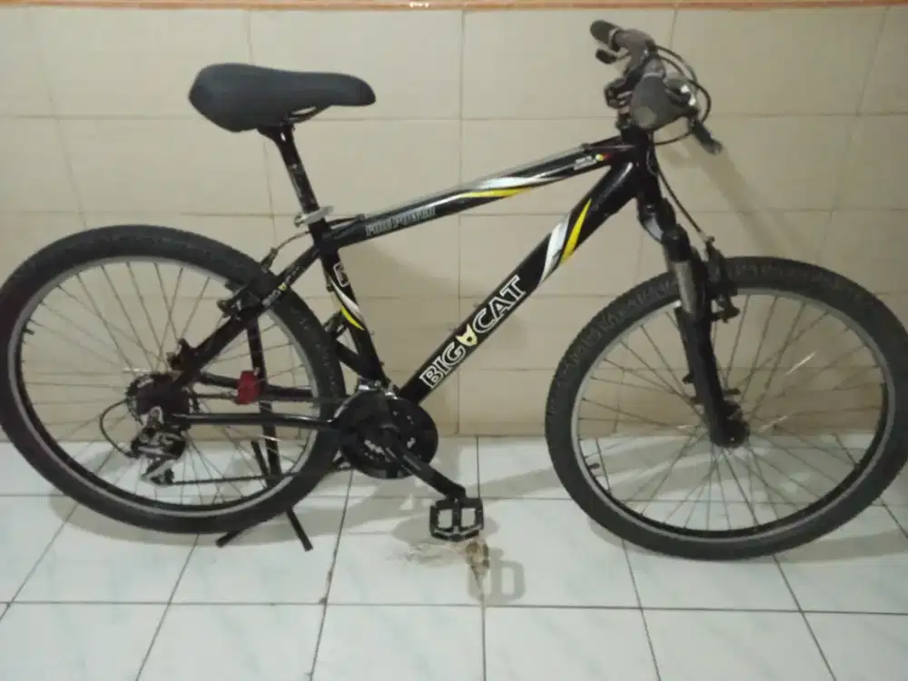 Sepeda Big Cat Design usa