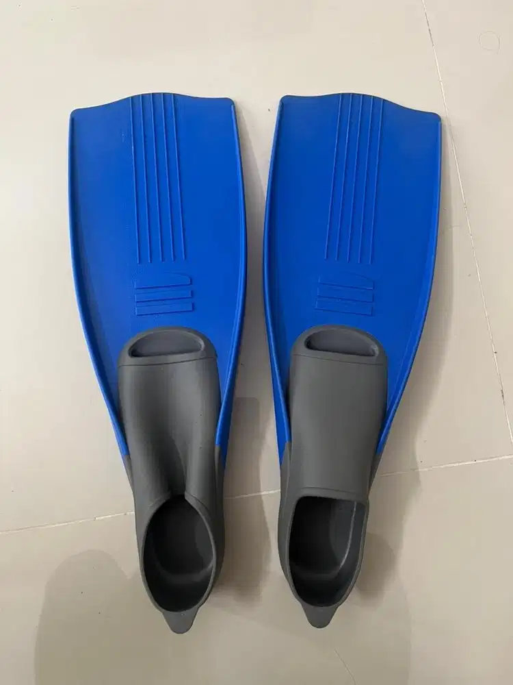 Fin / Kaki Katak
