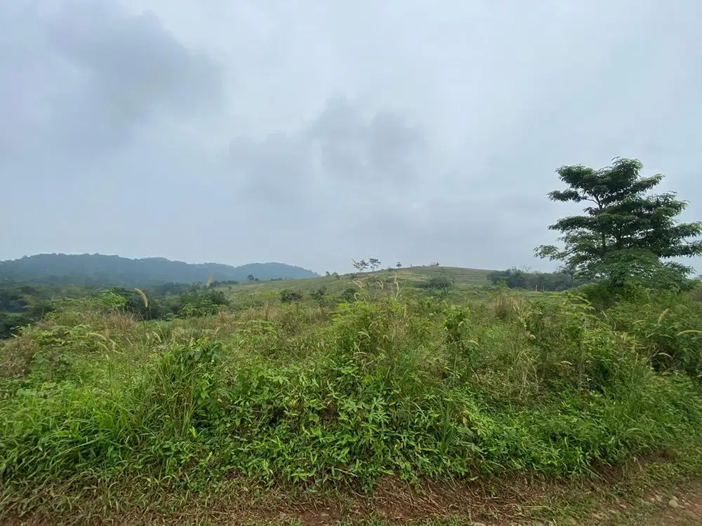 Oper alih atau di sewakan