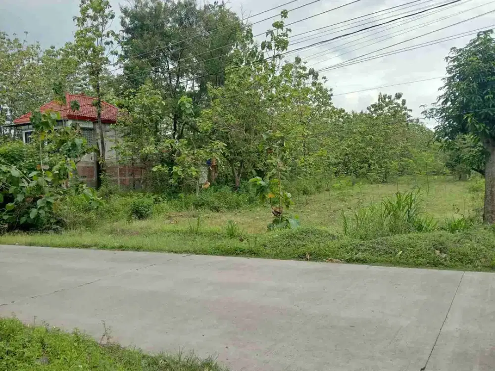 tanah pekarangan luas murah cocok buat gudang dekat gemolong