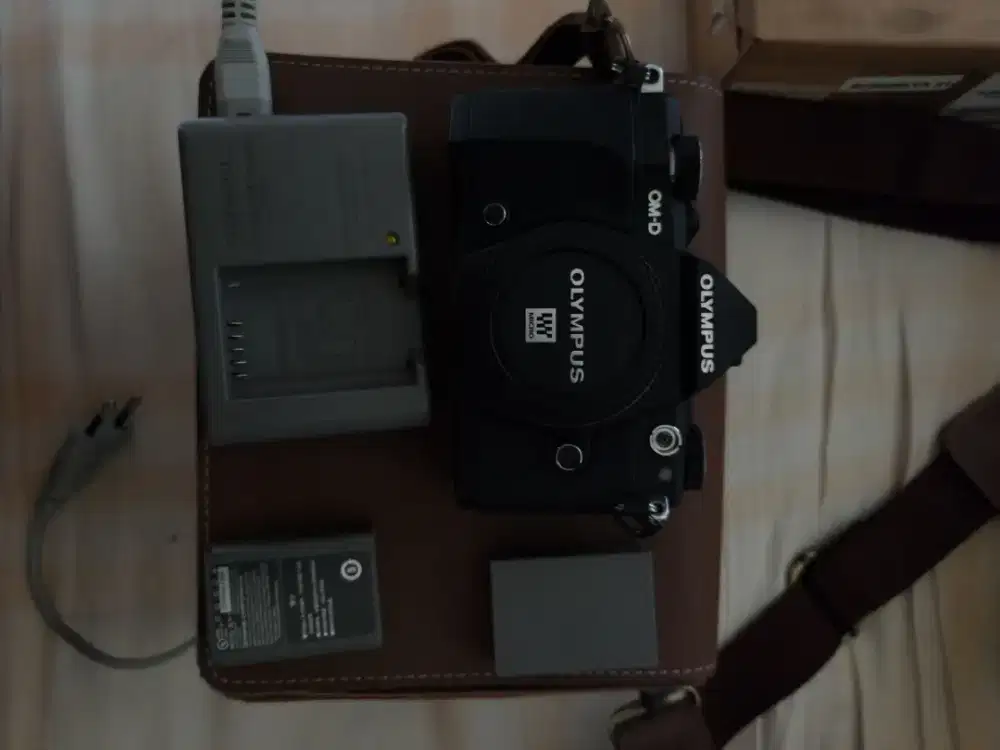 Olympus OMD EM5 Mark II