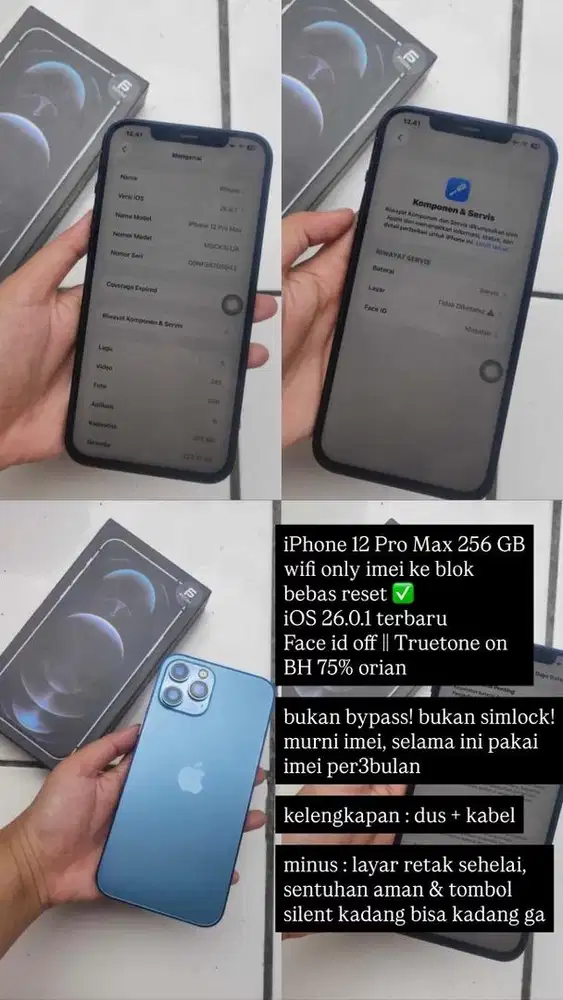 negoin aja iPhone 12 Pro Max 256 GB inter