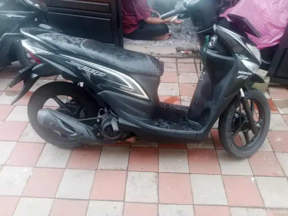 beat pop 2015 iss mulus