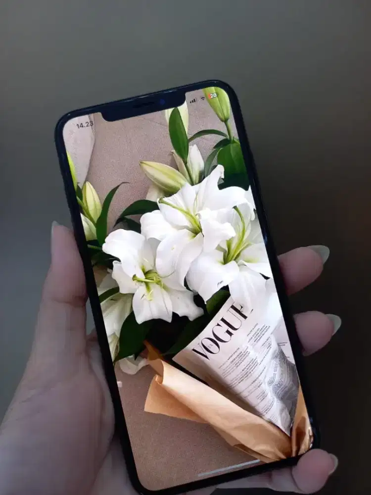 Iphone Xsmax 64gb